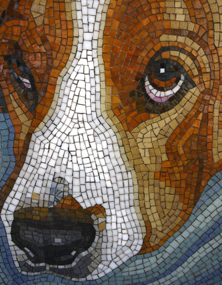 Floyd Close-up